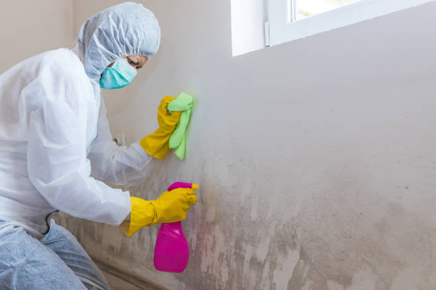 Mold Remediation for Rental Properties in Clyde, TX